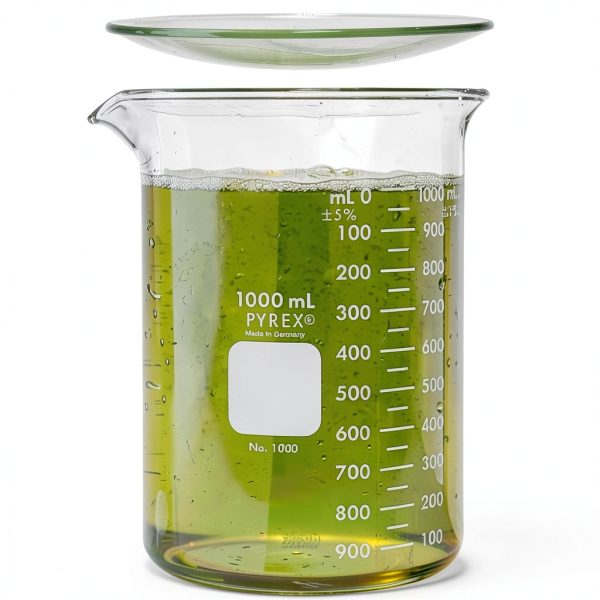 Corning Pyrex 1000ml Glass Beaker with 125mm Watch Glass, Double Scale-0